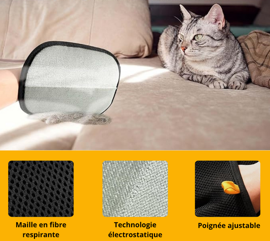 PetShop